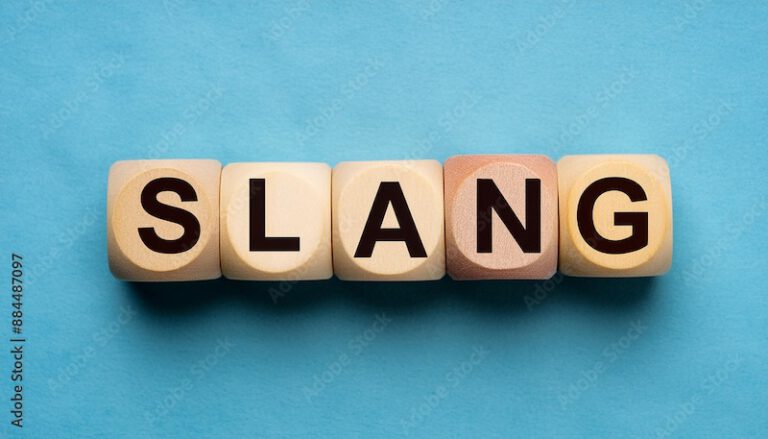 De Slang – Interactief II